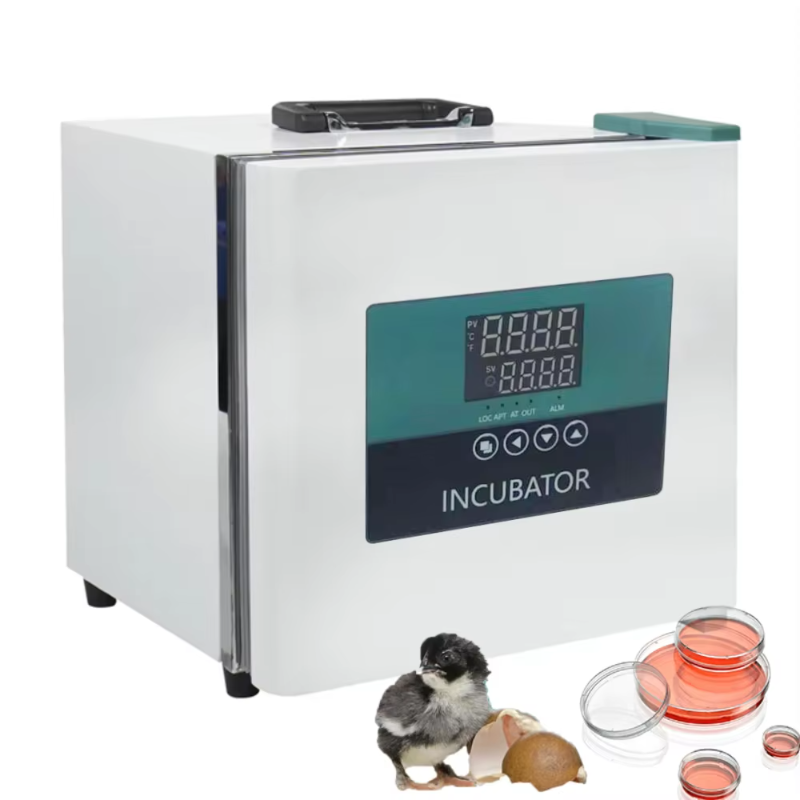 Medical Lab Microbiology - Incubadora Portátil de Laboratorio Montada en