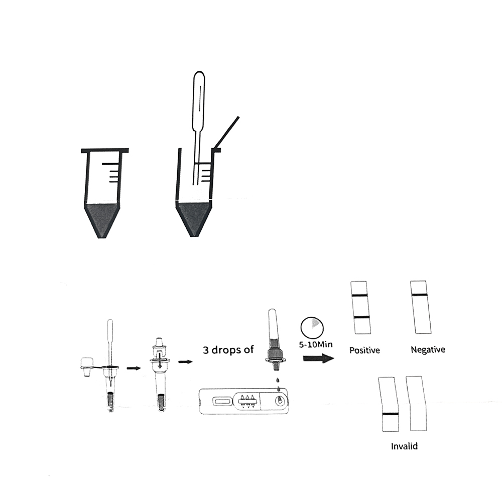 Kit profesional de prueba de e - Urine Analyzer Strip reseña y precio