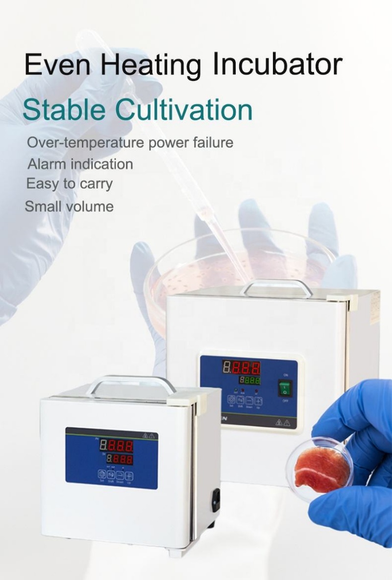 Incubadora de Laboratorio WEIA - Medical Lab Microbiology reseña y precio